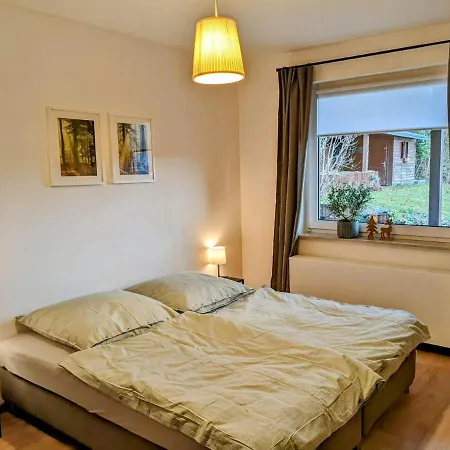50m2